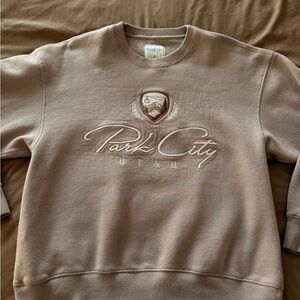 Abercrombie and Fitch Park City Utah Brown Crewneck